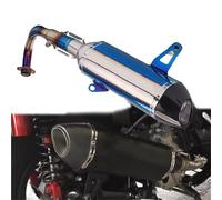 Motorrad-Auspuff Für Yamaha XMAX300 2017-2024 2023 2022 2021 2020 2019 2018 Motorradauspuff Schalldämpfer Zubehör(Silver Blue)