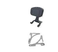 Motorrad-Mehrzweck-Fahrer- Und Beifahrer-Rückenlehne Für Harley-Modell Sportster XL 883 1200 2000-2022 Sportfahrräder(B)