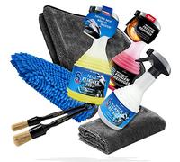 Motorrad Reinigung & Trocknen Bundle - Dr. Wack S100 Total Reiniger + Schnellreiniger + Felgenreiniger + detailmate Trockentuch & 2X Reinigungspinsel + Waschhandschuh & Poliertuch
