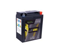 intAct Bike-Power Motorradbatterie GEL YB12AL-A 12V 12Ah 51213 Gel12-12AL-A