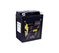 intAct - GEL12-14L-A2 - Batterie - 12 Volt 14Ah (c20) 250 A (EN)