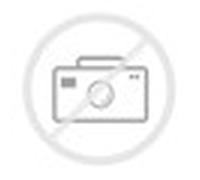 Motorradschiene für den PM1 Motorradanhänger, von Norauto, 1 Stück