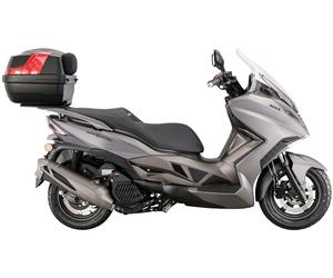 Motorroller ALPHA MOTORS "Sport Cruiser 22", grau (grau, schwarz), Motorroller, 95 km/h, mit Lenkerschloss, B:81cm H:132cm L:218cm (92195829-0) grau, schwarz