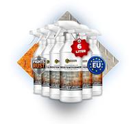 MRM CHEMICALS - Rostumwandler & Rostentferner Spray 6 x 1L - Für Metall, Stahl & Gusseisen - Rostschutz & Korrosionsschutz mit Phosphat - Auto, Boot, Schiff, Fahrradkette, Werkzeug