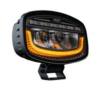 Multifunktionaler Zusatzscheinwerfer LED Glare Oval-Pro 10/30V