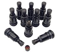 NAAA Metallventile Schwarz I Stahlventile I Universal Felgenventile 11,3mm für PKW Transporter Wohnwagen (50)