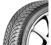 Nankang Cross Seasons AW 6 225/45 R17 94 W, Ganzjahresreifen
