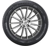 NANKANG - REIFEN Winterreifen 205/55 R16 94V XL Winter Activa 4 JY260
