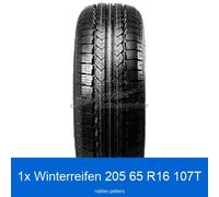 Nankang Snow SL-6 3PMSF Winterreifen 205/65 R16 C 107T | 38575