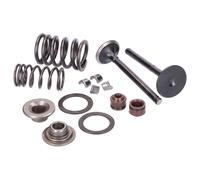 Naraku V.2 Ventilsatz 90ccm Zylinderkopf für GY6, für: Kymco 2V - Ersatzteile Fi