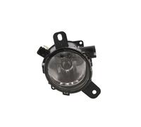 Nebelscheinwerfer DEPO 442-2027R-AE, Rechts