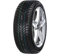 Neolin NeoWinter 235/35 R19 91 V XL