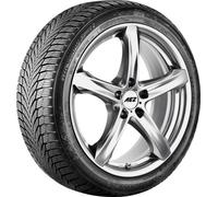 NEXEN Winterreifen 17742nxk 225/60 R16 102V