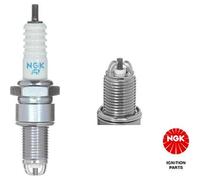 NGK 3377 Zündkerze für VW AUDI SEAT B3 90 B3 80 B4 TRANSPORTER GOLF PASSAT 89