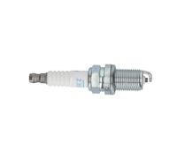 NGK Zündkerze (7642) für RENAULT Megane I Multipla Van FIAT Panda Bravo Kangoo