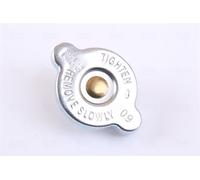 NISSENS Kühler, Motorkühlung mit Dichtungen für NISSAN 67348A