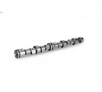 Nockenwelle Schaeffler INA 428 0095 10