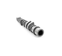 Schaeffler INA Nockenwelle 428 0176 10