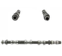 INA 428 0197 10 Nockenwelle für BMW LAND ROVER MG 3 5 1 X3 75 FREELANDER MG ZT