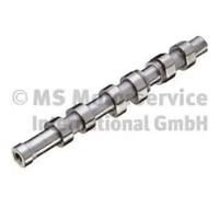 Nockenwelle Auslassseite 50007655 KOLBENSCHMIDT für SEAT SKODA VW MG LAND ROVER