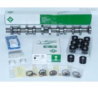 SCHAEFFLER INA Nockenwelle 428015110 für SEAT