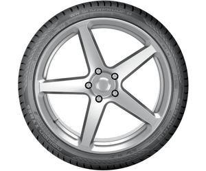 NOKIAN TYRES Winterreifen t431229 205/55 R17 95V