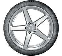 NOKIAN TYRES Winterreifen t431239 225/45 R19 96V