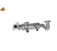 NRF 48354 Cooler, exhaust gas recirculation for FORD