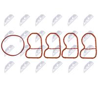 NTY Dichtungssatz, Ansaugkrümmer bksbm040a für BMW