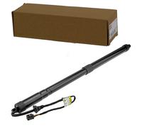 NTY Elektromotor Heckklappe AE-FR-063 hinten links passend für Ford