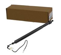 NTY AE-PE-050 Heckklappe-Motor