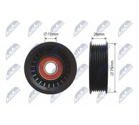 Keilriemenspanner-Riemenscheibe RNK-CH-033 NTY für JEEP GRAND CHEROKEE I