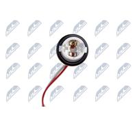 NTY Schalter, Heckklappe ezcns011 für NISSAN