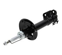 NTY Stoßdämpfer A-TY-076 vorne rechts für Toyota Urban Cruiser 1.4 D-4D (09-14)