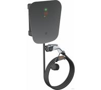 OBO Bettermann WB AC BL SPD Wallbox Basic Protect WB AC BL SPD