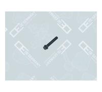 OE Germany | Pleuelschraube | 04 0311 101200