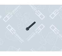 OE Germany Pleuelschraube Universal für VOLVO 04 0311 101200