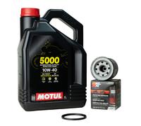Ölfilter Dichtung Motul 5000 10w40 für Honda Yamaha Aprilia Ölwechsel Kawasaki