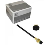 ESEN SKV Sensor Motorölstand 17SKV759 für Opel, Renault Movano X62 Bus CDTI