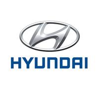 Oppi Spiegel Hyundai Terracan, Tucson bis 2015