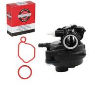 Orig. Briggs & Stratton Vergaser für B&S 350 450 E,Series, 591979