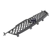 Original Ford Fiesta 2005-2008 Kühlergrill 1373755