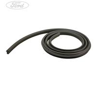Original Ford Türdichtung hinten (2007-2014) 1676977