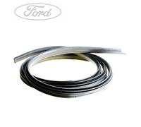 Original Ford Türdichtung vorne Fahrerseite 5169963
