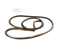 Original Ford Türdichtung vorne für Galaxy (ab 2015) 1494511