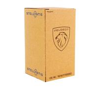 Original Peugeot Blenden Dachreling rechts 1616778880