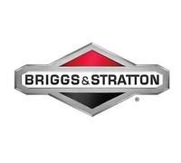 Originaler Vergaser BRIGGS & STRATTON 596575