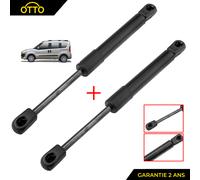 Pack Von 2 Stoßdämpfer für Kofferraum Hintere für Fiat Doblo - 51892592