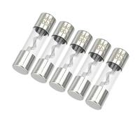 Partuto 5 Stück 10x38mm 0,39x1,50 Zoll 100A Universal AGU Glassicherung - Kfz-Sicherungsröhre zum Schutz der Stromversorgung - Metall Silberton