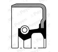 PAYEN Wellendichtring, Kurbelwelle 111mm für CHRYSLER BMW NA5140